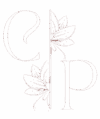 CP Nature