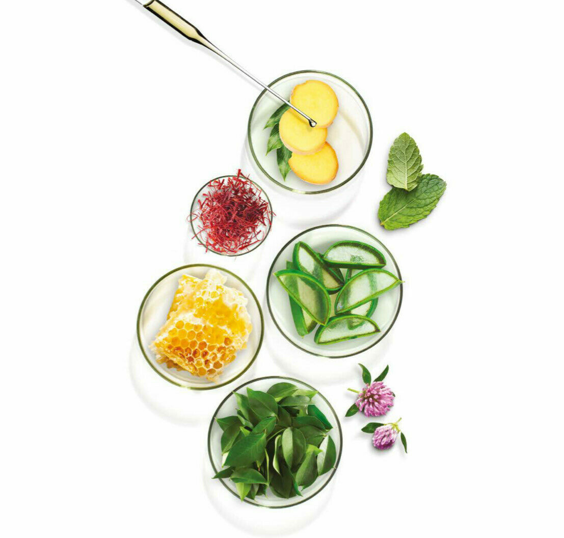 Ingrédients naturels pour cosmetiques-aloe-vera à Auch, coupelles de gingembre, aloe vera, miel, safran, feuilles,